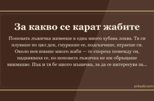 За какво се карат жабите
