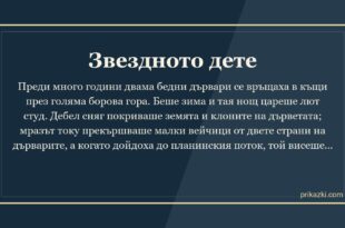Звездното дете