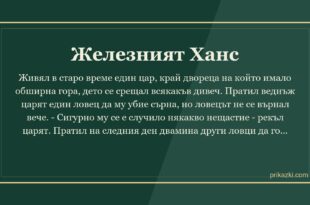 Железният Ханс