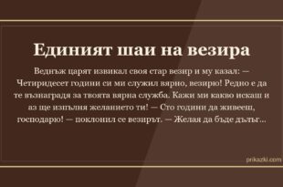 Единият шаи на везира