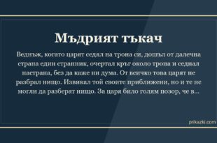 Мъдрият тъкач