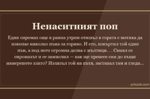 Ненаситният поп