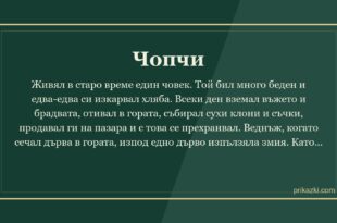 Чопчи