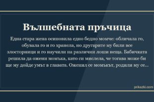 Вълшебната пръчица