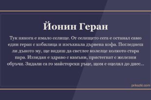 Йонин Геран