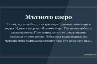 Мътното езеро