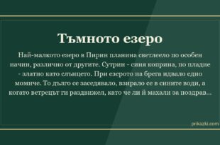 Тъмното езеро