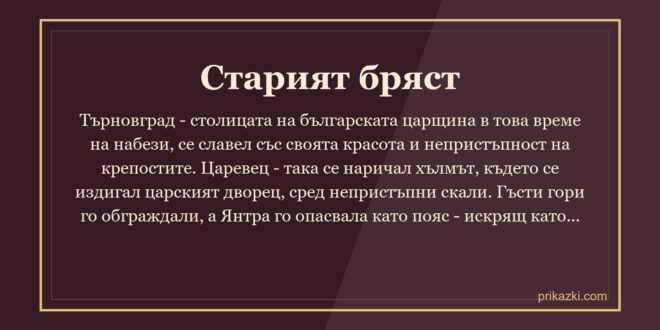 Старият бряст