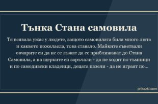 Тънка Стана самовила