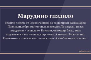 Марудино гиздило